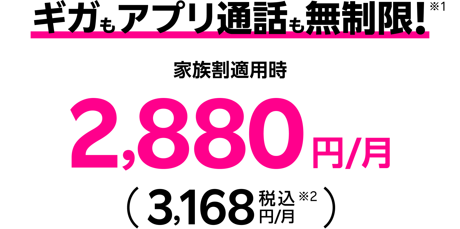 ギガもアプリ通話も無制限※1 家族割適用時2,880円/月（税込3,168円/月※2） 