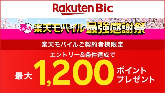 【毎月開催】楽天ビックお買い物応援キャンペーン