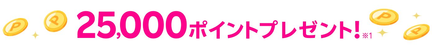 25,000ポイントプレゼント！※1