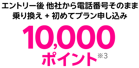 エントリー後、他社から電話番号そのまま 乗り換え + 初めてプラン申し込み10,000ポイント※3