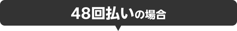 48回払いの場合