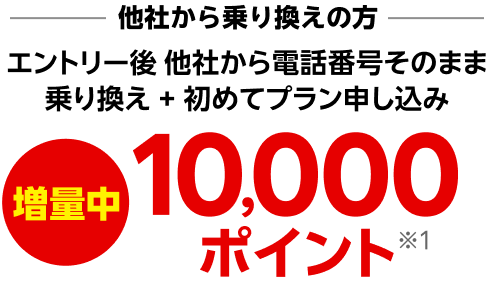 他社から乗り換え エントリー後 他社から電話番号そのまま乗り換え + 初めてプラン申し込み10,000ポイント※1