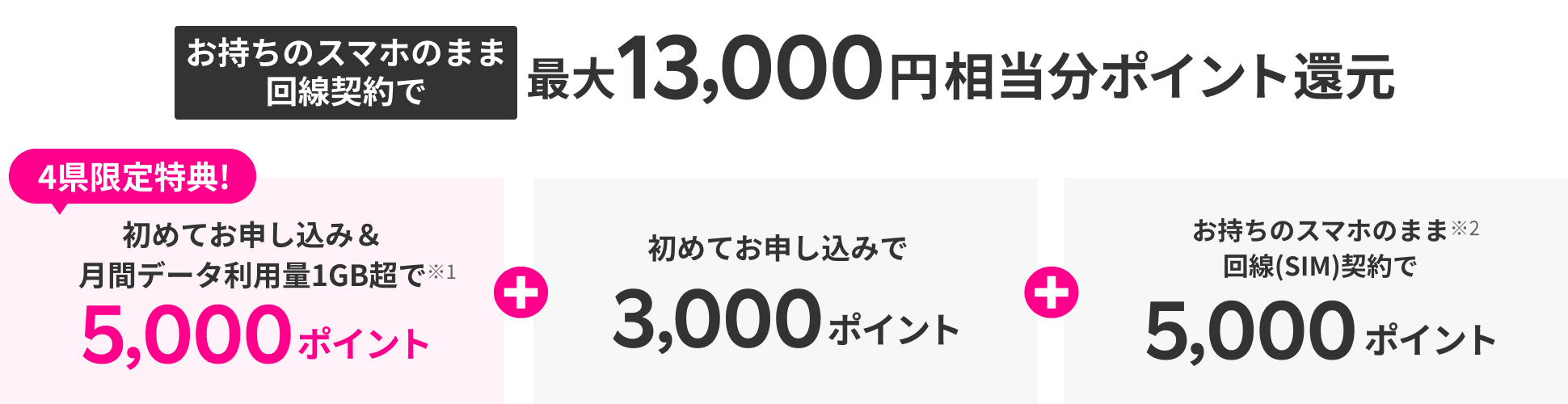 お持ちのスマホのまま回線契約で最大13,000円相当分ポイント還元