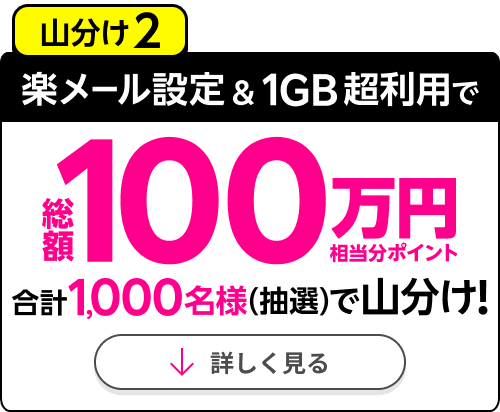 山分け2楽メール設定＆1GB超利用で総額100万円相当分ポイント合計1,000名様（抽選）で山分け！詳しく見る