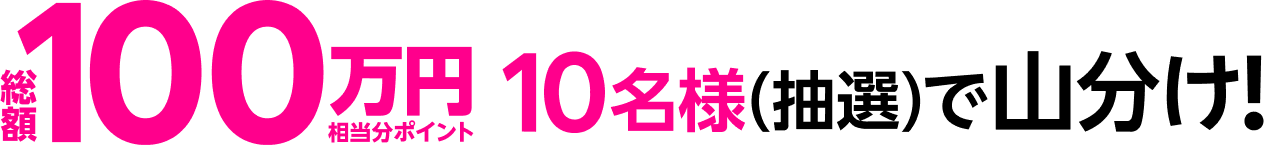 総額100万円相当分ポイント10名様（抽選）で山分け！