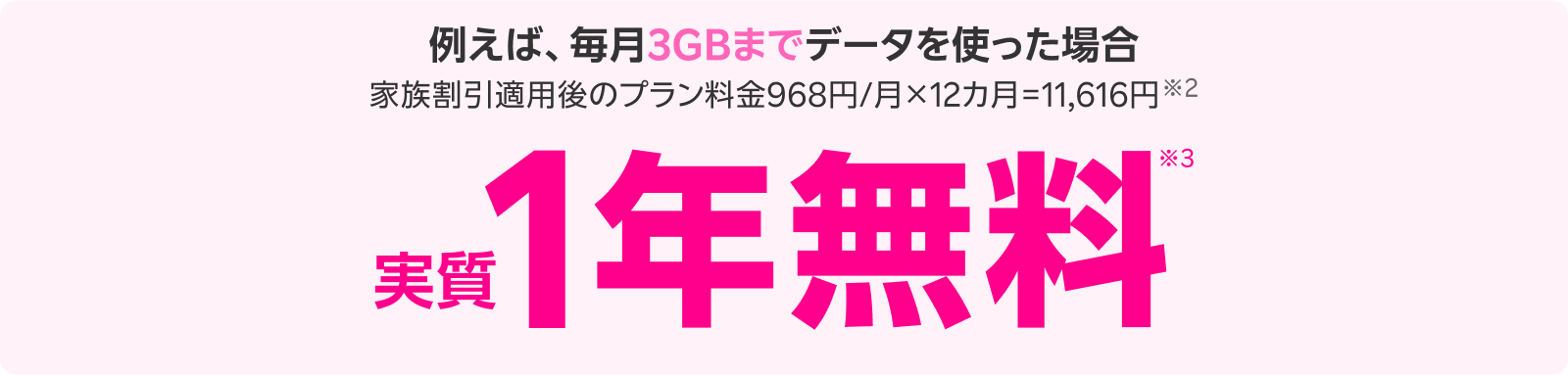 例えば、毎月3GBまでデータを使った場合家族割引適用後のプラン料金968円/月×12カ月=11,616円※2 実質1年無料