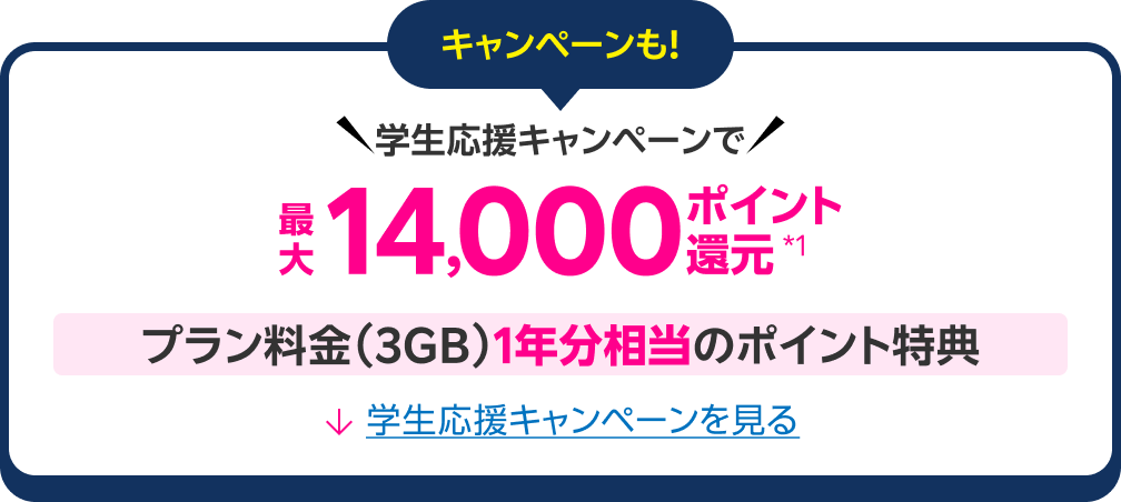 キャンペーンも！ 学生応援キャンペーンで最大14,000ポイント還元*1 プラン料金（3GB）1年分相当のポイント特典 学生応援キャンペーンを見る