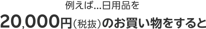 例えば...日用品を20,000円（税抜）のお買い物をすると