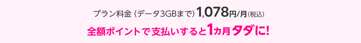 プラン料金（データ3GBまで）1,078円/月（税込）全額ポイントで支払いすると1カ月タダに！