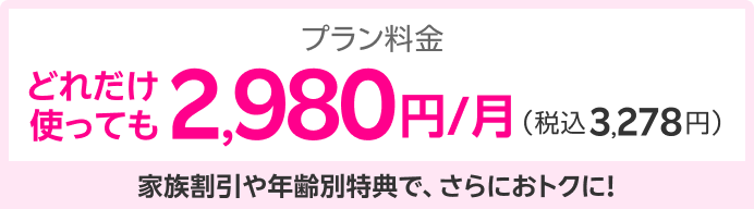 プラン料金どれだけ使っても2,980円/月（税込3,278円）家族割引や年齢別特典で、さらにおトクに！