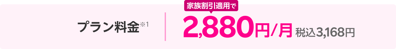 プラン料金 2,980円/月(税込3,278円)※1