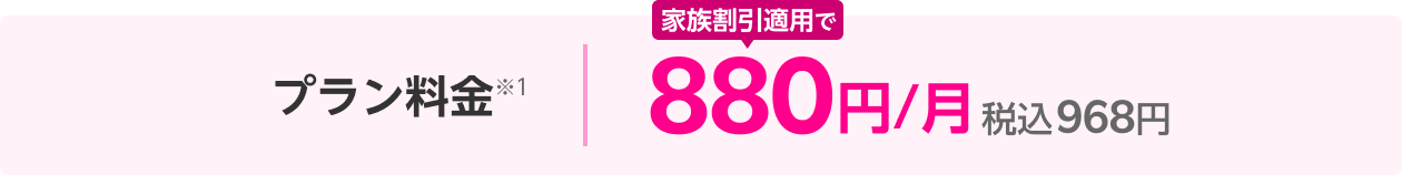 プラン料金 980円/月(税込1,078円)※1