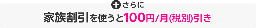 さらに家族割引を使うと100円/月(税別)引き