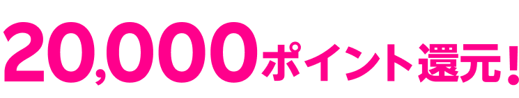 20,000ポイント還元