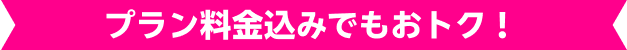 プラン料金込みでもおトク！