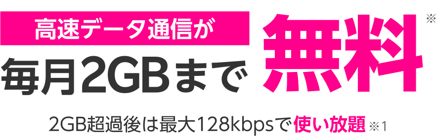 高速データ通信が毎月2GBまで無料※ 2GB超過後は最大128kbpsで使い放題※1