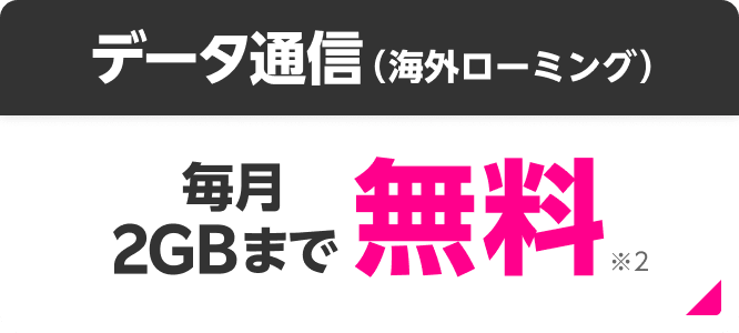 データ通信（海外ローミング） 毎月2GBまで無料※2