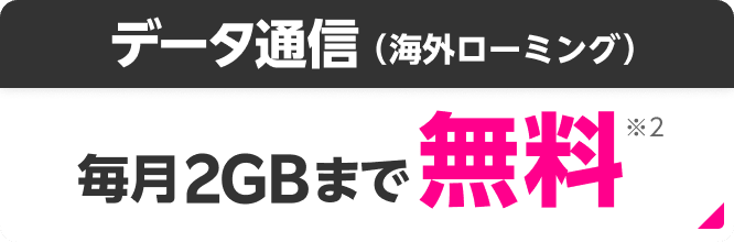 データ通信（海外ローミング） 毎月2GBまで無料※2