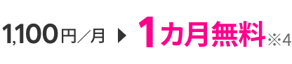 1,100円／月→1カ月無料※4