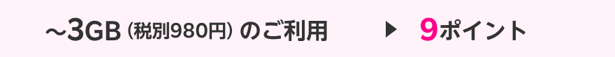 〜3GB（税別980円）のご利用→9ポイント