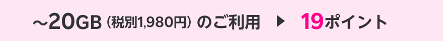 〜20GB（税別1,980円）のご利用→19ポイント