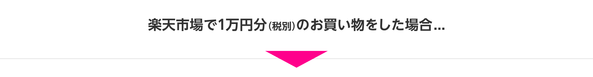 楽天市場で1万円分（税別）のお買い物をした場合...